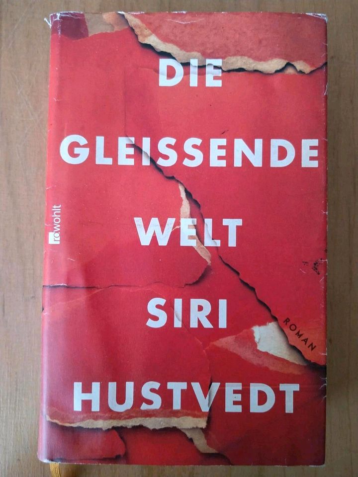 Siri Hustvedt: Die gleissende Welt Der Sommer ohne...What I loved in München