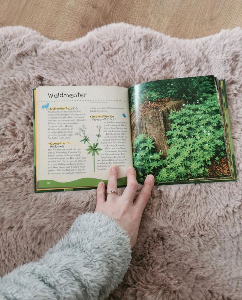 Kinder entdecken die Natur Buch Tiere Wald in Hösbach