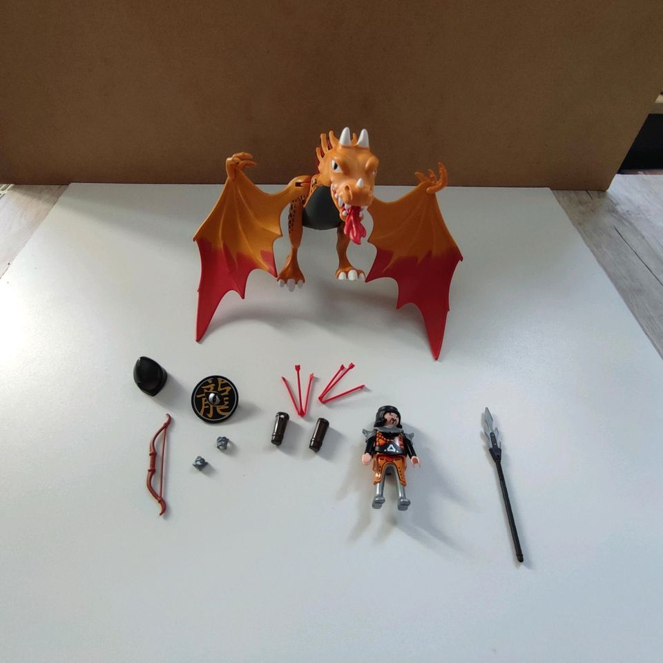 Playmobil Flammen-Drache mit Ritter in Nordrhein-Westfalen - Stolberg  (Rhld) | Playmobil günstig kaufen, gebraucht oder neu | eBay Kleinanzeigen  ist jetzt Kleinanzeigen