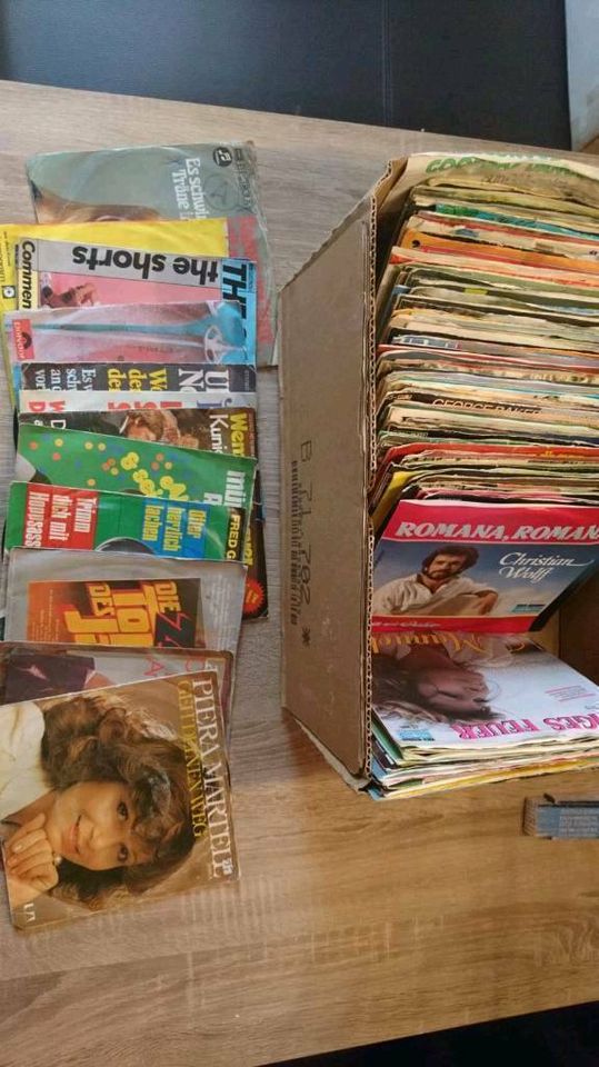 Schallplatten  /  Singles in Schneverdingen