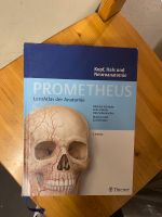 Phometheus Kopf Hals Neuroanatomie Anatomie Atlas 4. Auflage Baden-Württemberg - Freiburg im Breisgau Vorschau