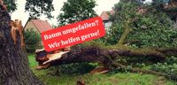 ❌ Sturmschaden Baum umgefallen Sturmschadenbeseitigung ❌ Nordrhein-Westfalen - Marl Vorschau