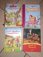Lese Bücher Grundschule 4 Stk. Niedersachsen - Stadland Vorschau