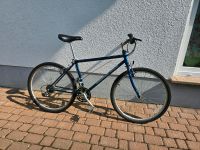 Diamond Back  Mountainbike 26", RH42cm, 90s Retro Hessen - Wölfersheim Vorschau