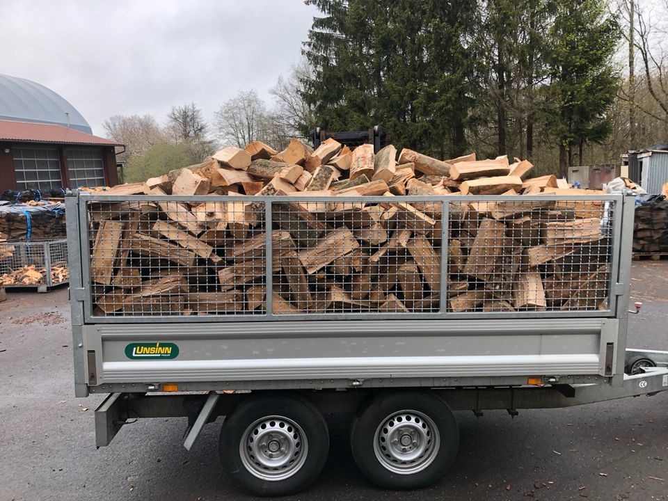 Brennholz Ofenfertig Buche/ Eiche/ Fichte in Lautzenbrücken