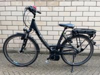 Damen E-bike Pegasus Premio E8 neuwertig kaum genutzt Nordrhein-Westfalen - Königswinter Vorschau