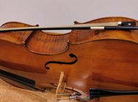 Modernes 1/1 Cello mit Facsimilie Etikett von Roberto PIOLI Baden-Württemberg - Bernstadt Vorschau