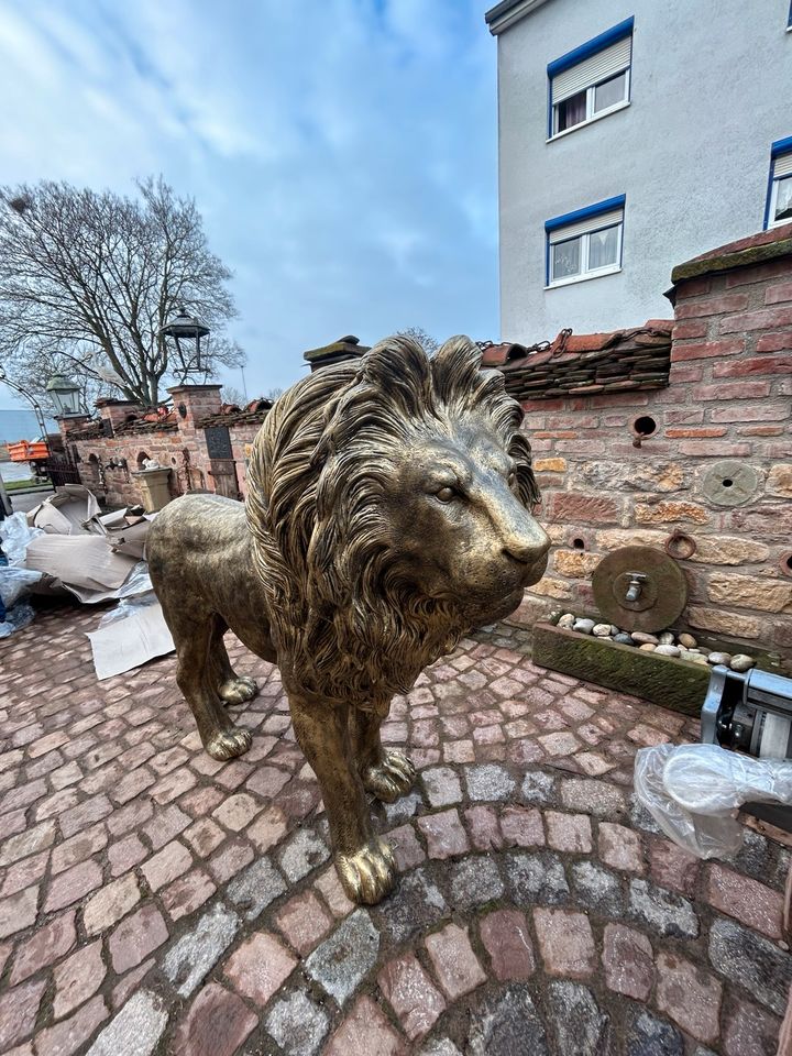 Löwe Lion King Lebensgroß XXL Simba Afrika Safari Wildtier Deko in Herbolzheim