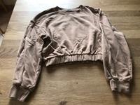 Damen Pulli Gr. M von Zara Bayern - Wertingen Vorschau
