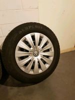 Winterreifen 195/65 R 15 T,  VW Golf Plus Nordrhein-Westfalen - Mönchengladbach Vorschau