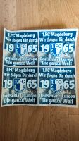 1. FC Magdeburg Aufkleber Brandenburg - Brandenburg an der Havel Vorschau