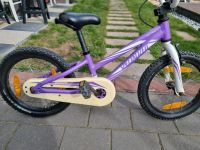 Kinder Fahrrad Specialized 16 Zoll Hessen - Kelsterbach Vorschau