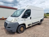 Fiat Ducato 250 L Rheinland-Pfalz - Baumholder Vorschau