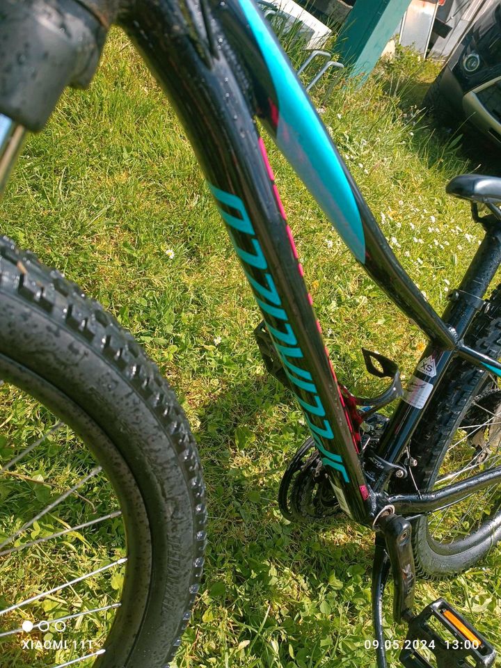 Specialized XS 27,5 Zoll MTB Mountainbike in Riol