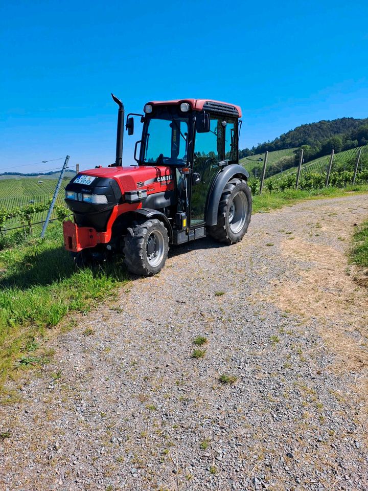 Case Quantum 75v Traktor, Schmalspur in Offenburg