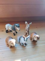 Schleich Hasen Pferd Ostern 5 Stück Tiere Schleswig-Holstein - Tensfeld Vorschau