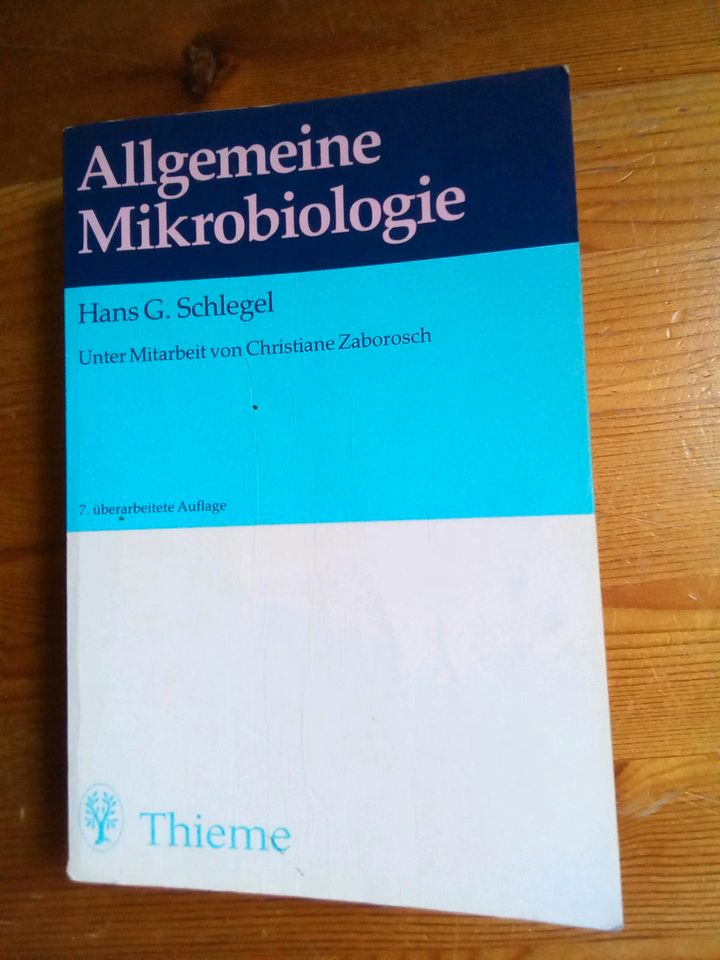 Thieme Verlag: Allgemeine Mikrobiologie - Schlegel in Geisenhausen