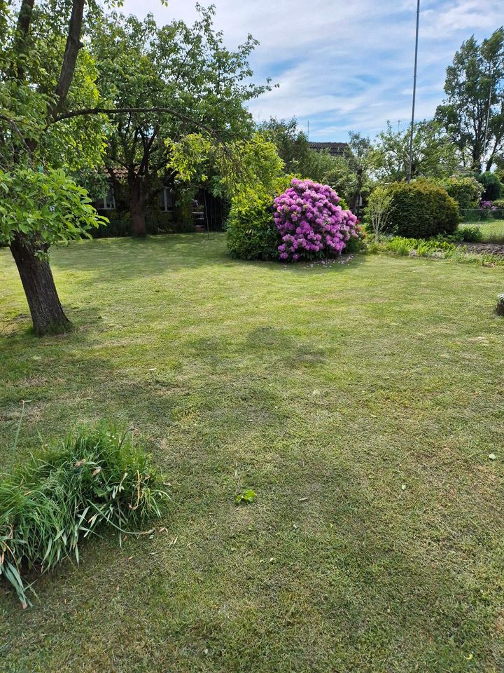 Kleingarten/Schrebergarten in Hannover