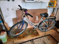 Mountainbike Nutcracker 26 Zoll Hessen - Schmitten Vorschau