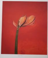 Bruno Bruni (1935) Lithografie 1 Amaryllis orig. signiert Baden-Württemberg - Heidelberg Vorschau