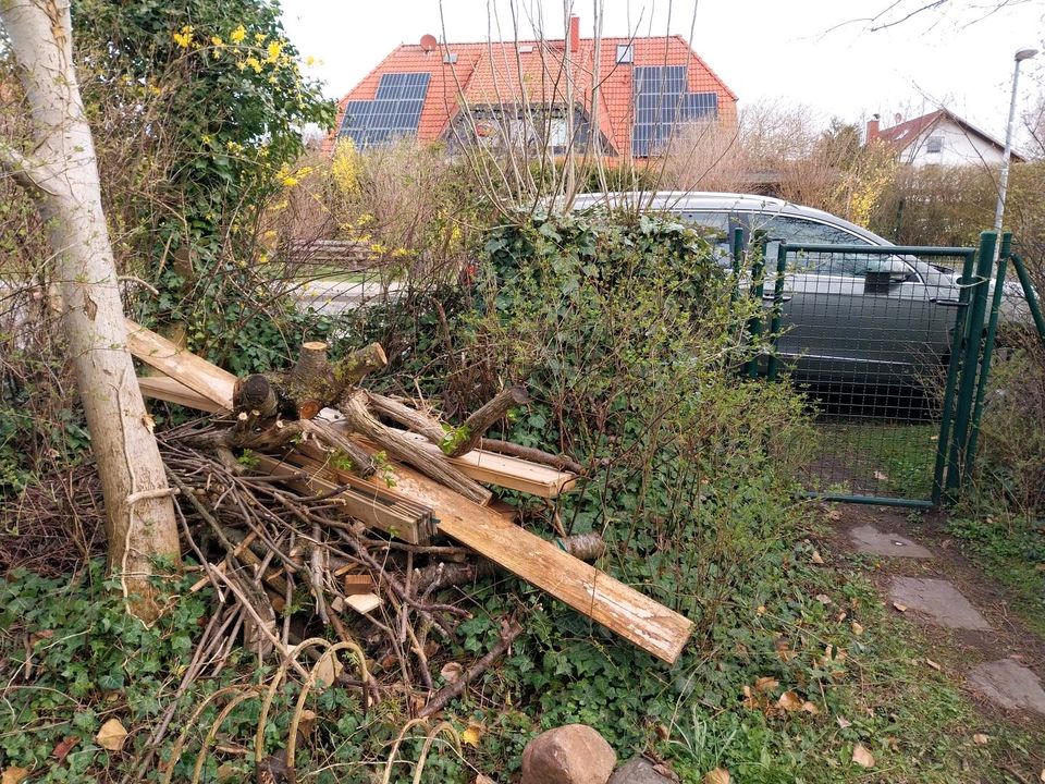 Feuerholz zu verschenken in Bargeshagen