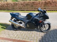 Honda CBR 1100XX Super Blackbird SC 35 Schleswig-Holstein - Westensee Vorschau