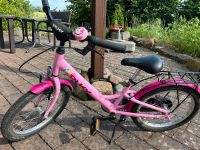 Puky Kinderfahrrad 18 Zoll Niedersachsen - Hessisch Oldendorf Vorschau