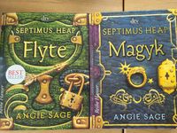 Buch Fantasy Angie Sage Septimus Heap Magyk Flyte dtv Nordrhein-Westfalen - Telgte Vorschau