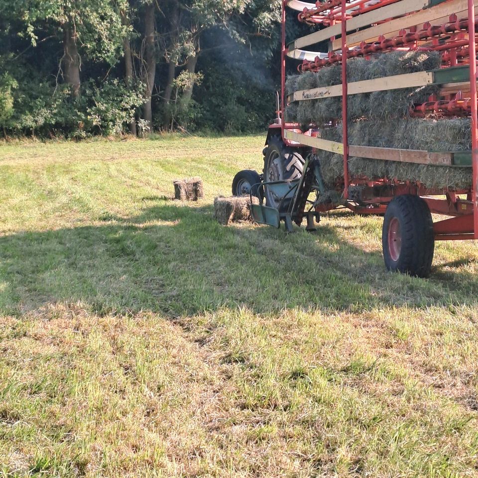 Heuballen ,  HD Ballen  2.Schnitt Kleinballen in Abstatt