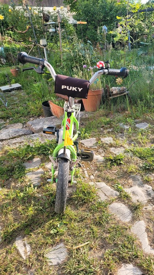 Kinder-Fahrrad Puky grün 12 Zoll in Dietfurt an der Altmühl