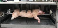 Spanferkel-, Wildschwein-, Lamm-, Putengrill zu vermieten. Bayern - Karlstadt Vorschau