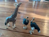 ❤️Schleich Giraffe und 2 Vogelsträuße ❤️ Baden-Württemberg - Bietigheim-Bissingen Vorschau