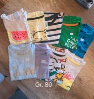 T Shirts und Pullover Gr. 74 und 80 Saarland - Oberthal Vorschau