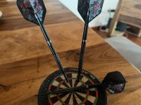 Harrow Soft Darts 20g Bayern - Halfing Vorschau