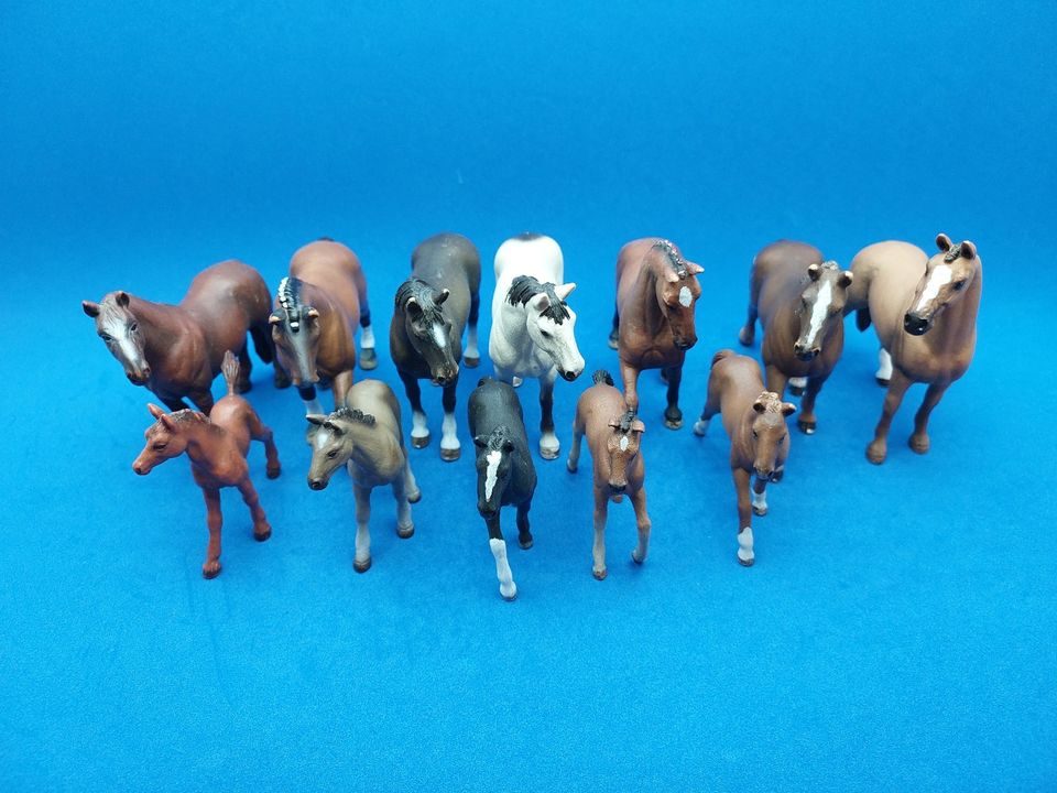 Schleich Pferde Warmblut Mustang Trakehner Bashkir… in Aalen