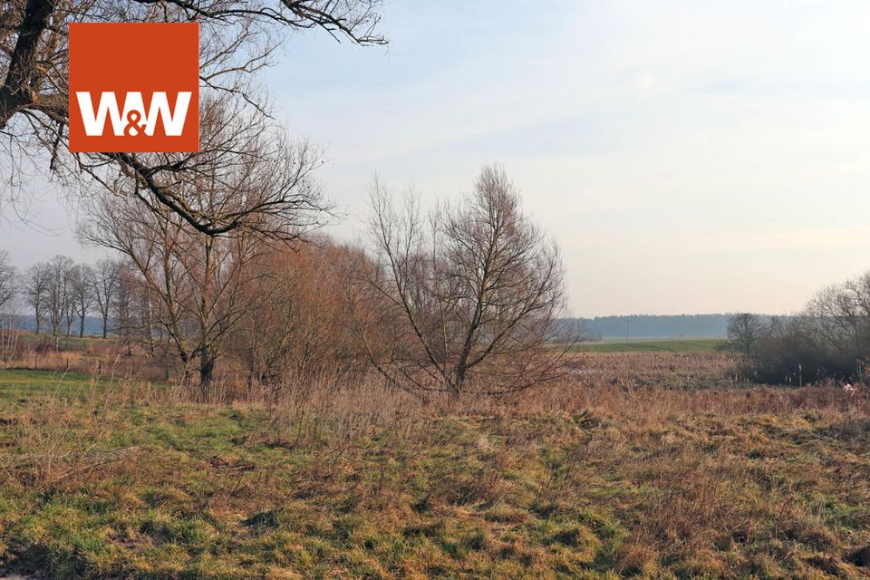 WOHNEN AUF EINER EBENE UND VIEL PLATZ FÜR MENSCH + TIER MIT GARAGEN + WERKSTATT + GROSSEM GRUNDSTÜCK in Altentreptow