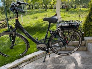 E. Bike Riverside City Nexus 8 Gang Rücktritt, 28 Zoll in Rehlingen-Siersburg