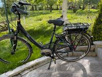 E. Bike Riverside City Nexus 8 Gang Rücktritt, 28 Zoll Saarland - Rehlingen-Siersburg Vorschau