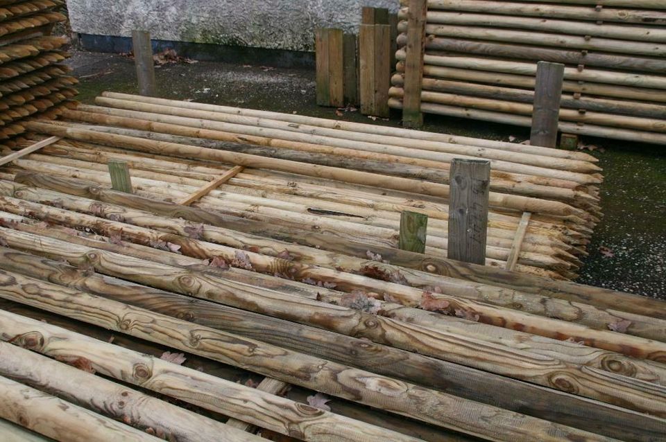 Baumpfähle - Zaunpfähle - Holzpfähle - 5 x 250 cm - imprägniert - in Wagenfeld