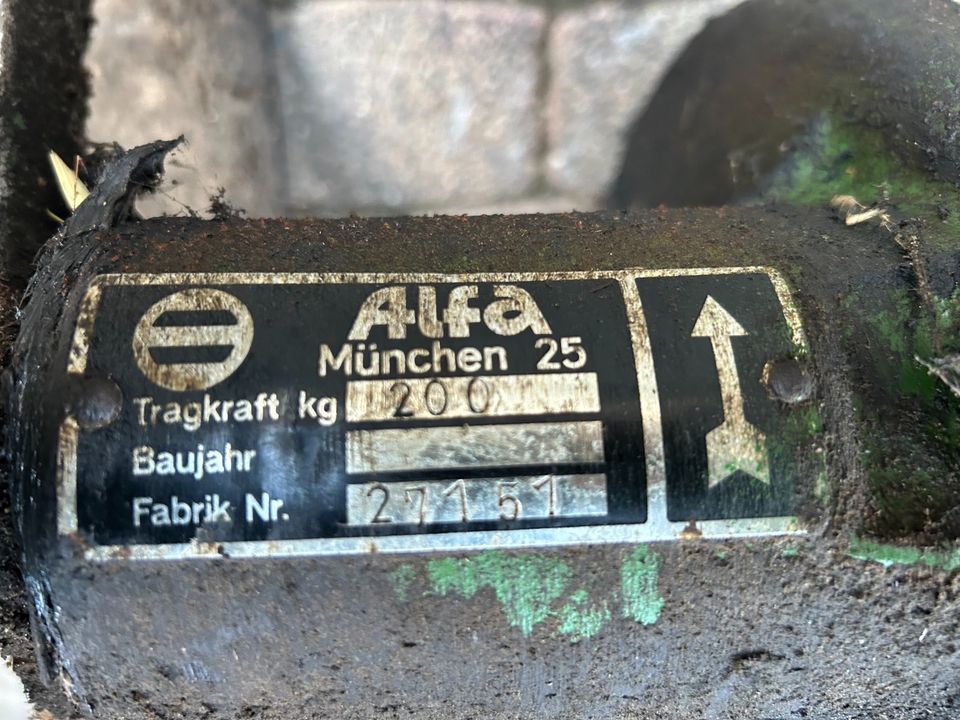 ALFA Heuaufzug Heuhaken Seilwinde Drehstrommotor 1400 U/min in Hessisch Lichtenau