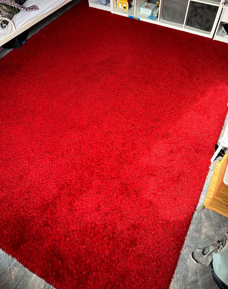 Roter Teppich ca. 2x3 Meter Langflor in Apen