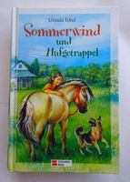 Nelly - Sommerwind und Hufgetrappel Pferde Tiere Bauernhof ab 12J Bayern - Roth Vorschau