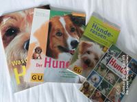 Hunde Bücher Buch Hund Hunderassen NEU Thüringen - Niederorschel Vorschau