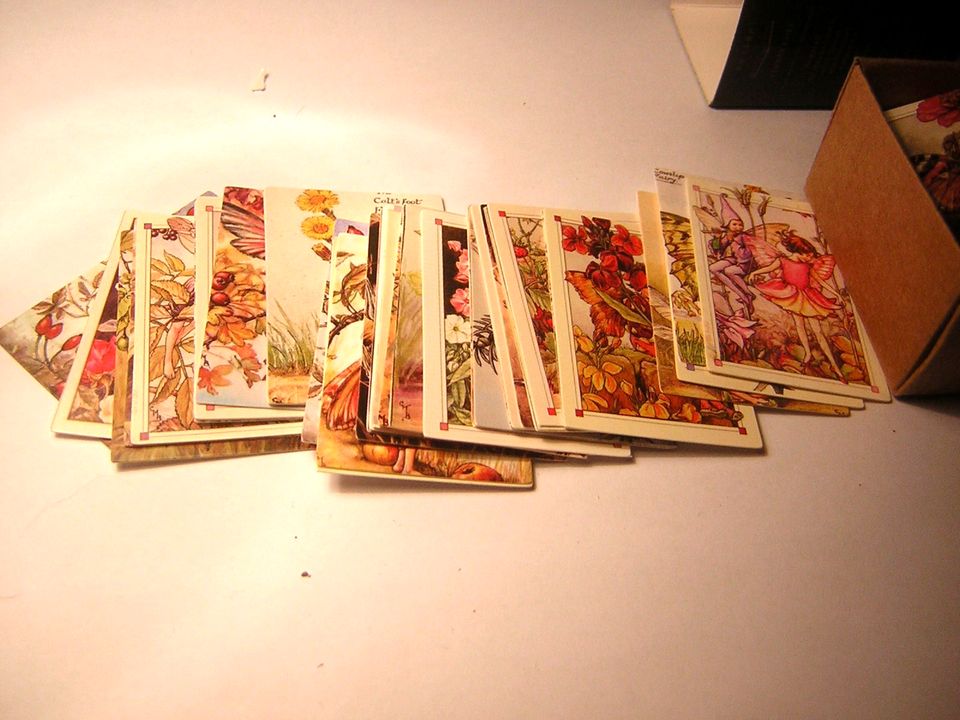 100 Stck. Scrapbook Washi Kawaii Bilder Fee flower fairy Aufklebe in Werbellin