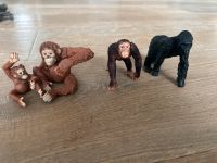 Schleichtiere Affen Baden-Württemberg - Kandern Vorschau