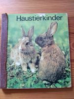 Klaus-Jürgen Hofer: Haustierkinder. DDR Papp-Bilderbuch Kinder Friedrichshain-Kreuzberg - Friedrichshain Vorschau