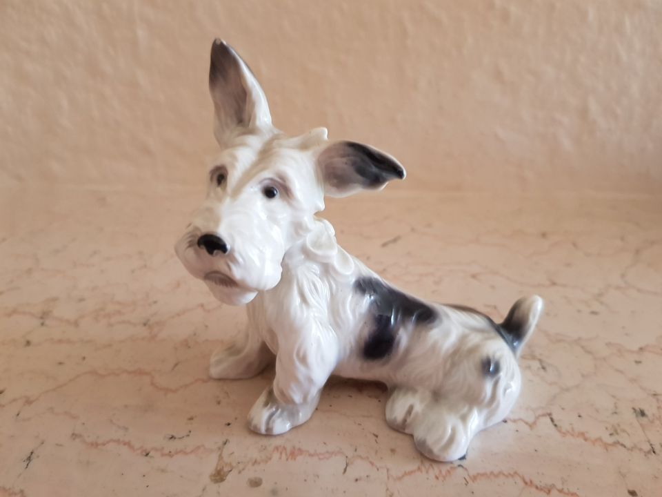 Sehr seltene Art Deko Keramik Terrier Figur von Schlagenwald in Pohlheim