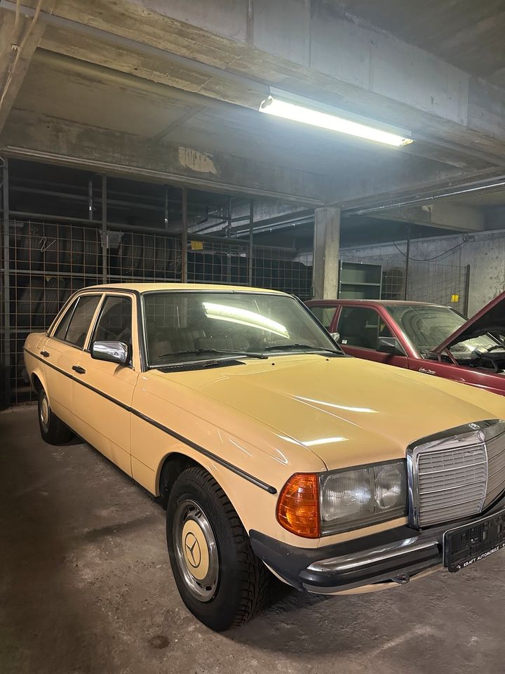 Mercedes Benz  230 W123 in Gernsheim 