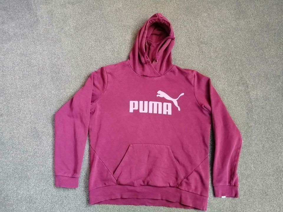 Puma Sweatshirt in Bevern
