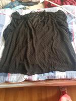 Damen Bluse 3€ Festpreis ist nicht verhandelbar Brandenburg - Cottbus Vorschau